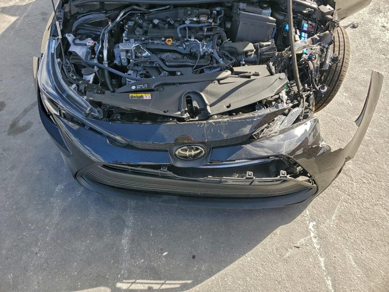 2025 Toyota Corolla le