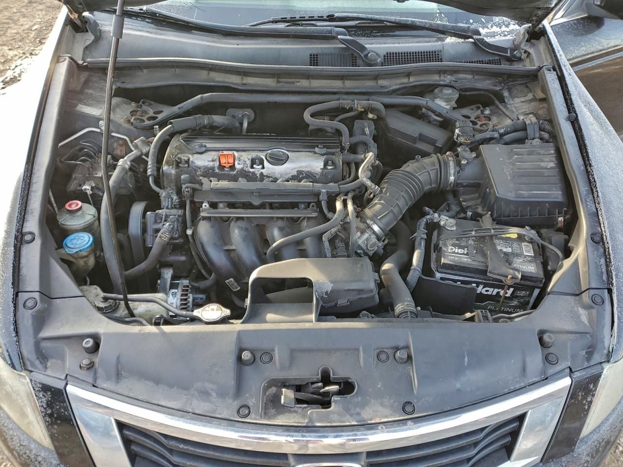 2010 Honda Accord exl