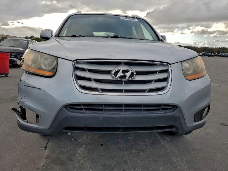 2010 Hyundai Santa fe se