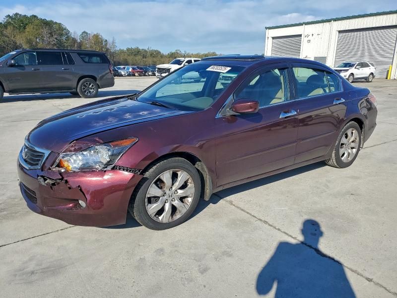 2010 Honda Accord exl