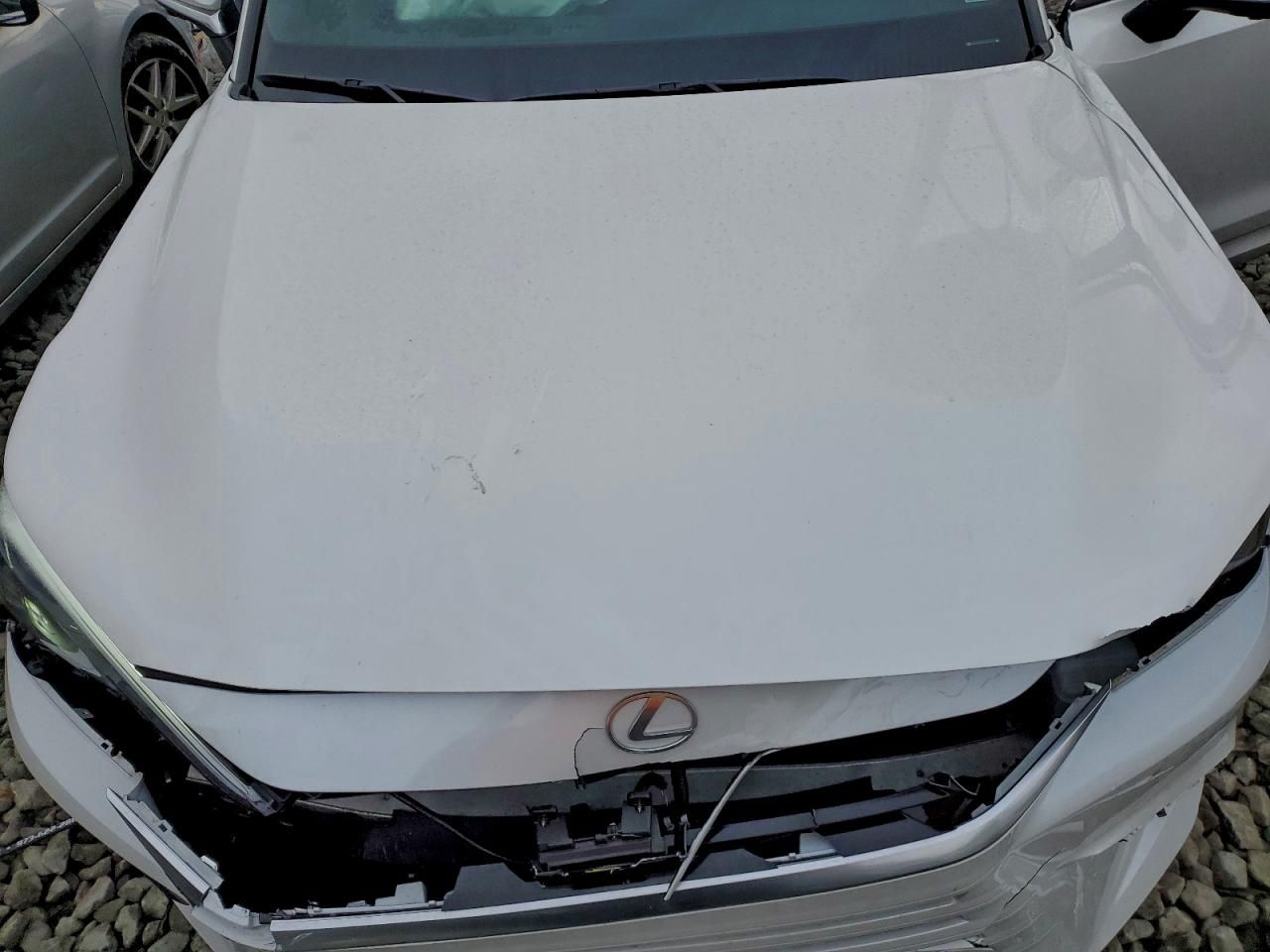 2024 Lexus Tx 350 Base