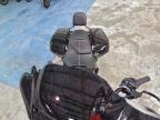 2025 Harley-Davidson Flhx
