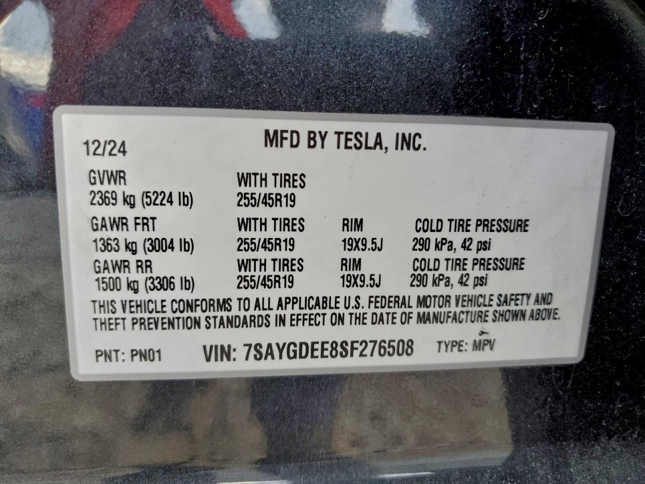 2025 Tesla Model y