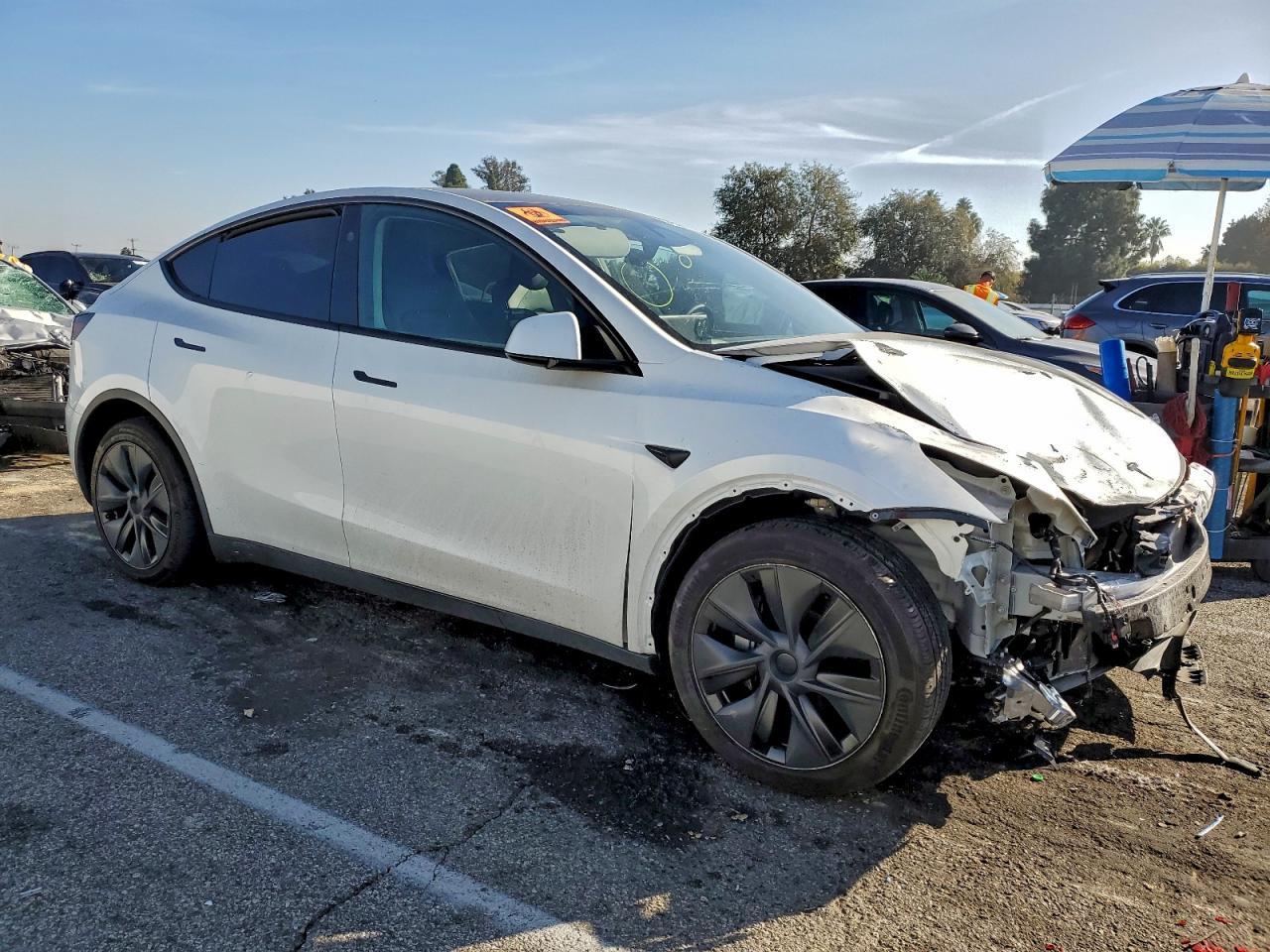 2025 Tesla Model y