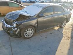 2010 Toyota Corolla for sale in Farr West, UT