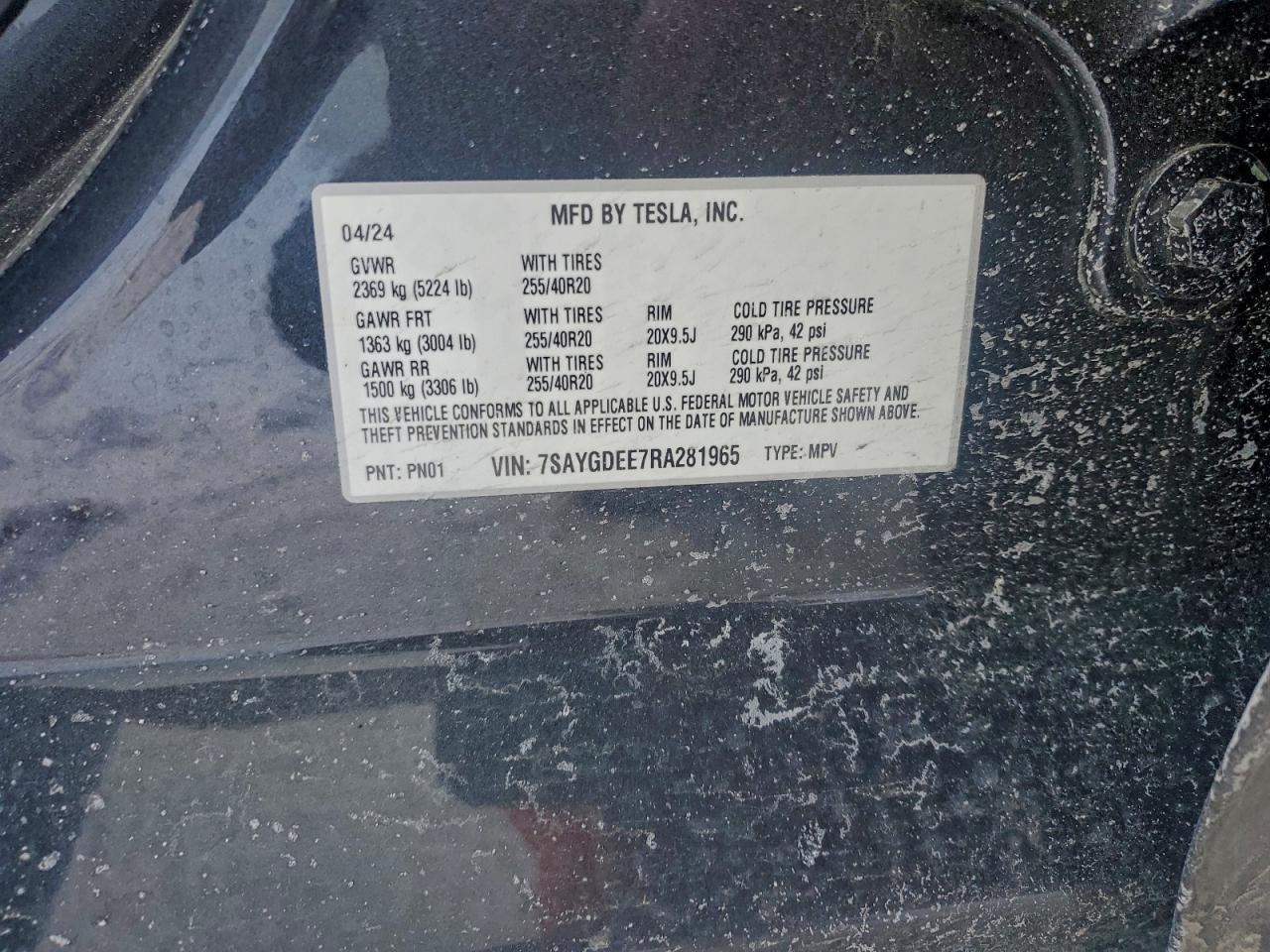 2024 Tesla Model y