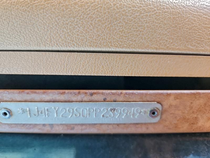 1993 Jeep Wrangler / yj