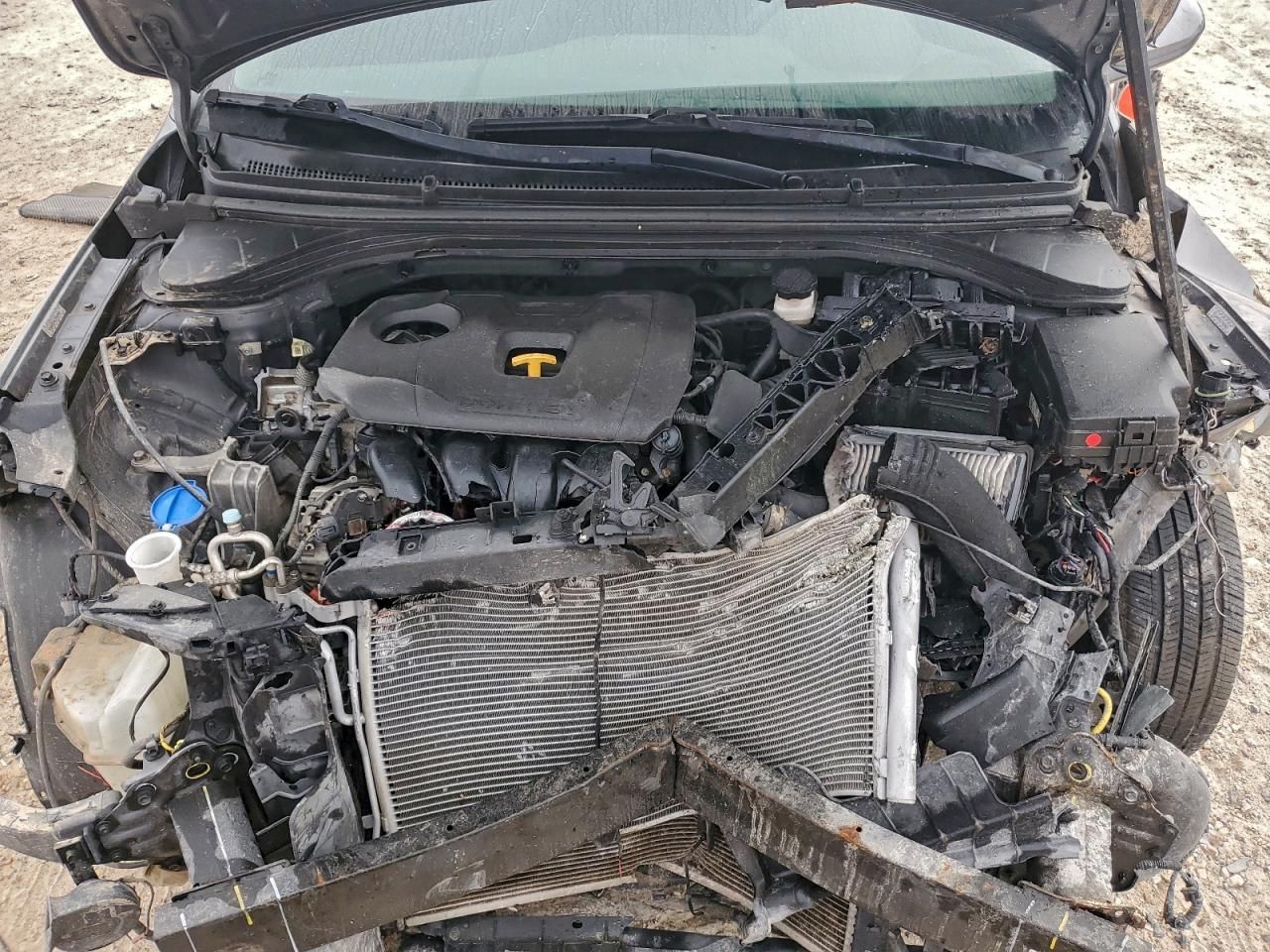 2019 Hyundai Elantra se