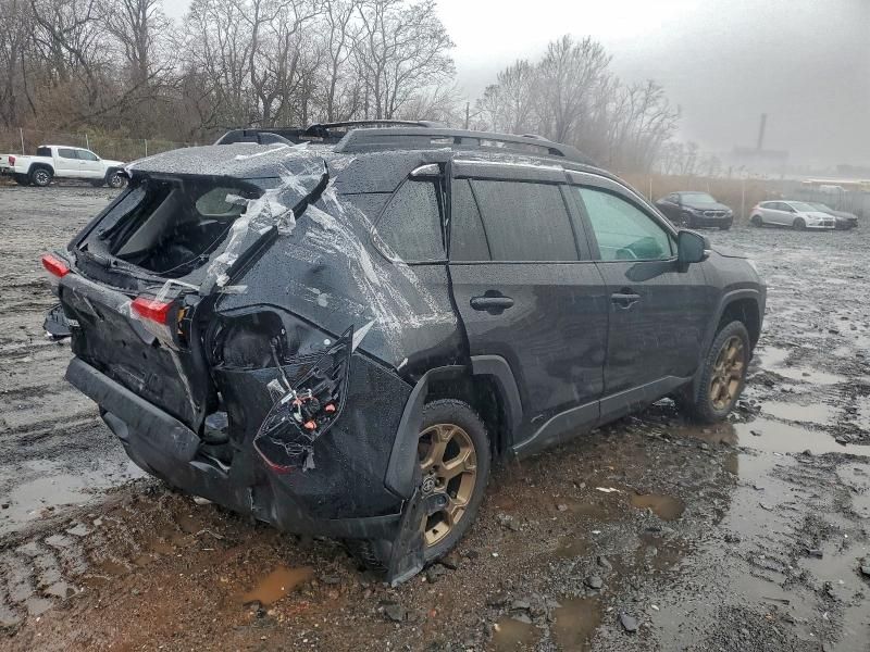 2024 Toyota Rav4 Woodland Edition