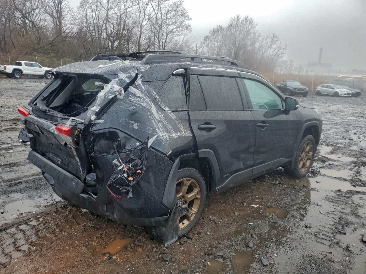 2024 Toyota Rav4 Woodland Edition