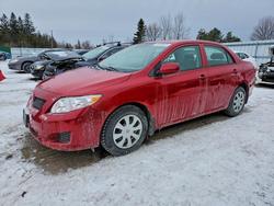Toyota salvage cars for sale: 2009 Toyota Corolla Base