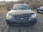 2007 Hyundai Santa fe se