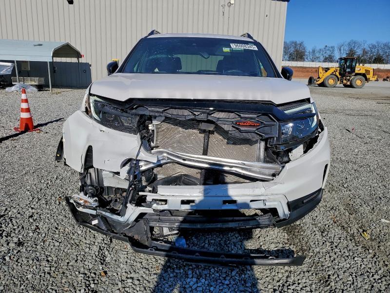 2025 Honda Passport Trail Sport