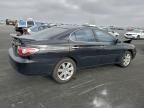 2002 Lexus Es 300