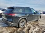 2024 Infiniti Qx60 Pure