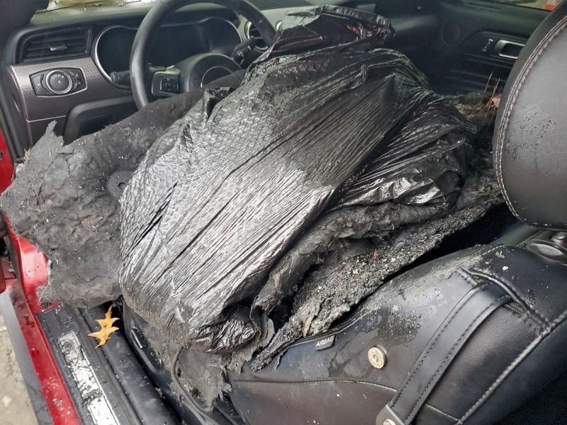 2019 Ford Mustang gt