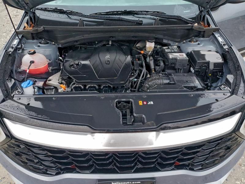 2024 KIA Sportage ex