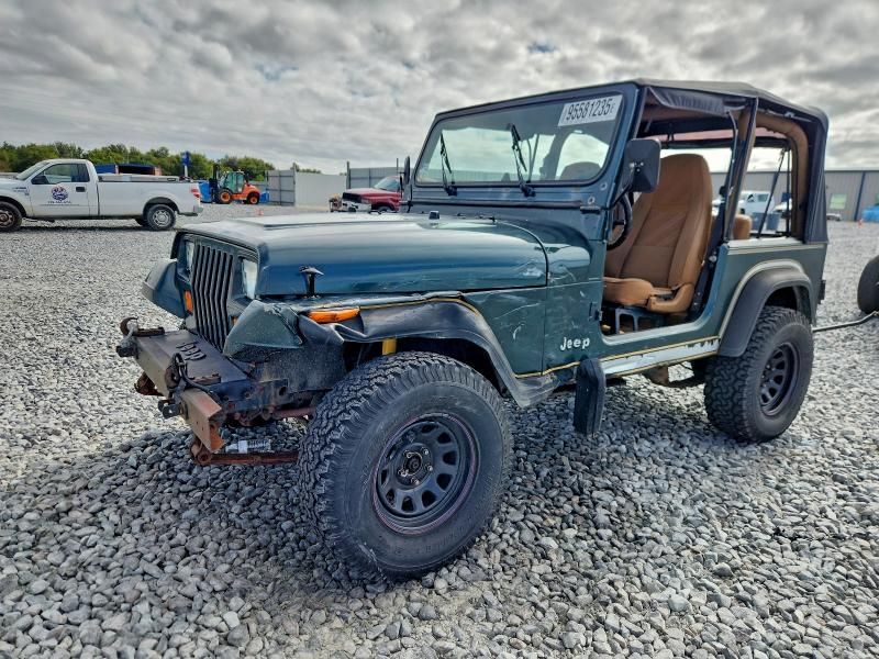 1993 Jeep Wrangler / yj
