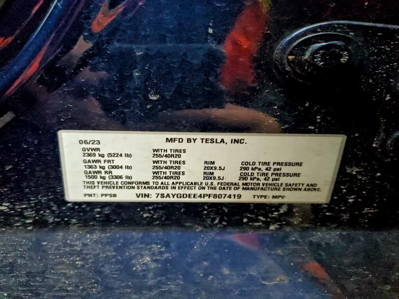 2023 Tesla Model y