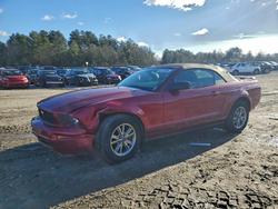 Ford Mustang salvage cars for sale: 2005 Ford Mustang