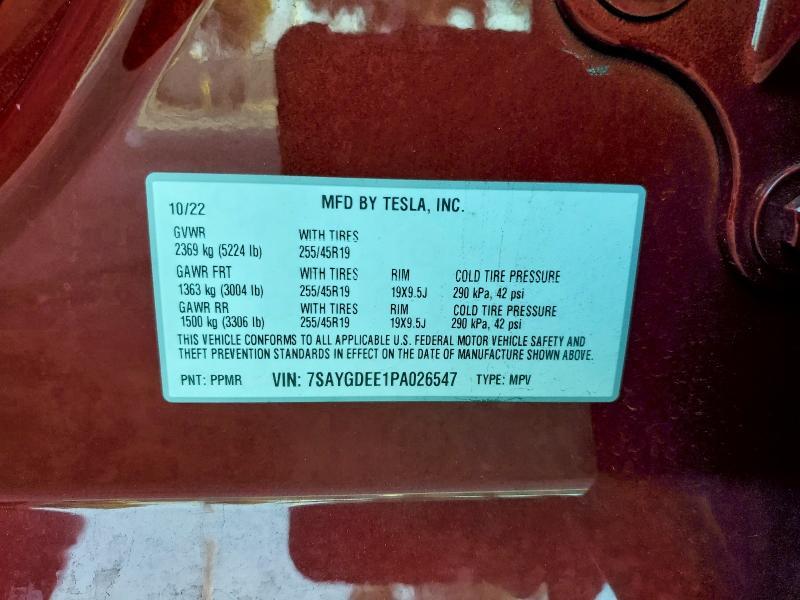 2023 Tesla Model y