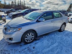 2009 Toyota Corolla Base en venta en Bowmanville, ON