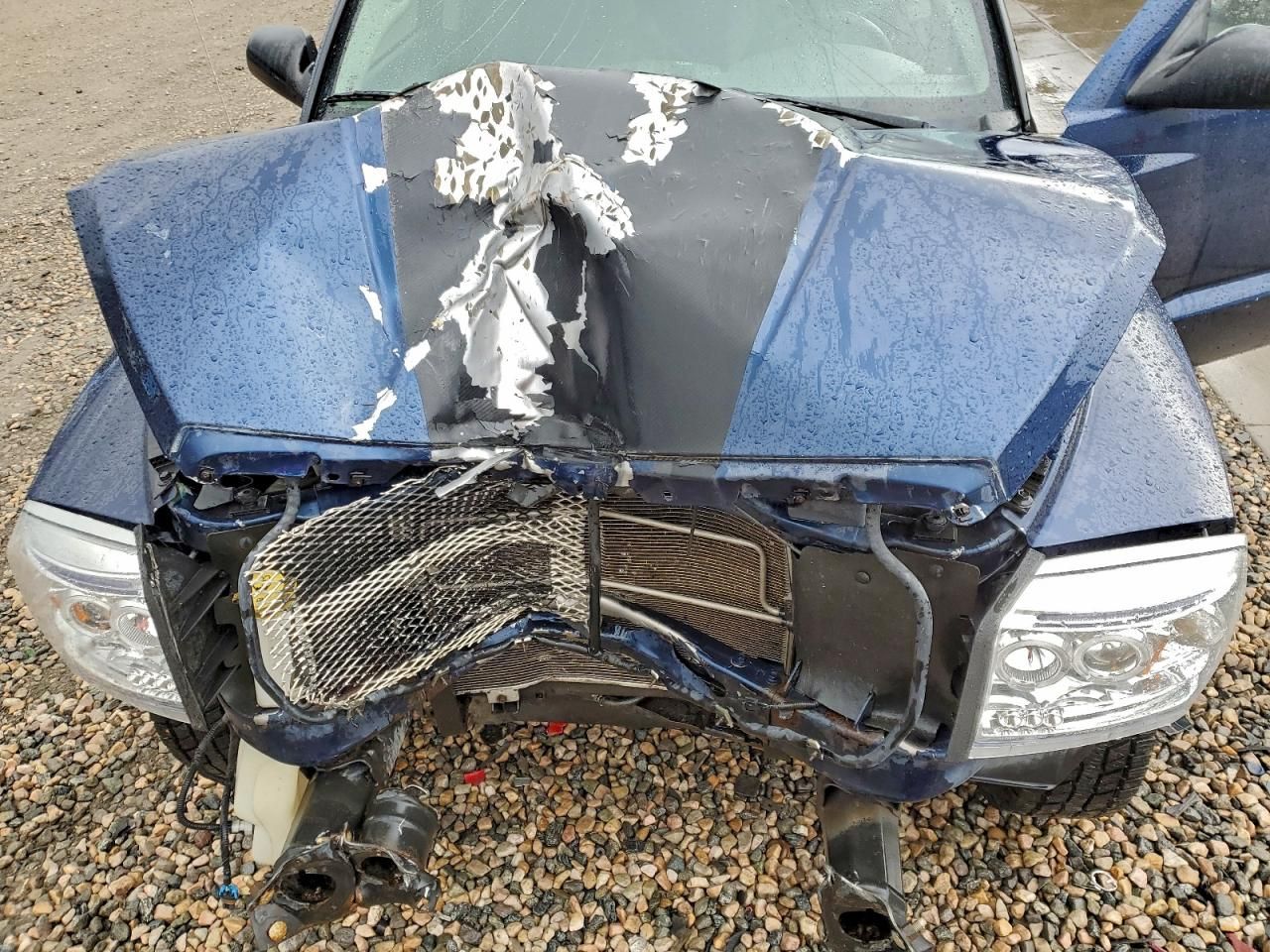 2005 Dodge Dakota Quattro