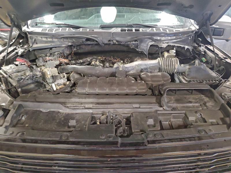 2024 Ford F150 Platinum