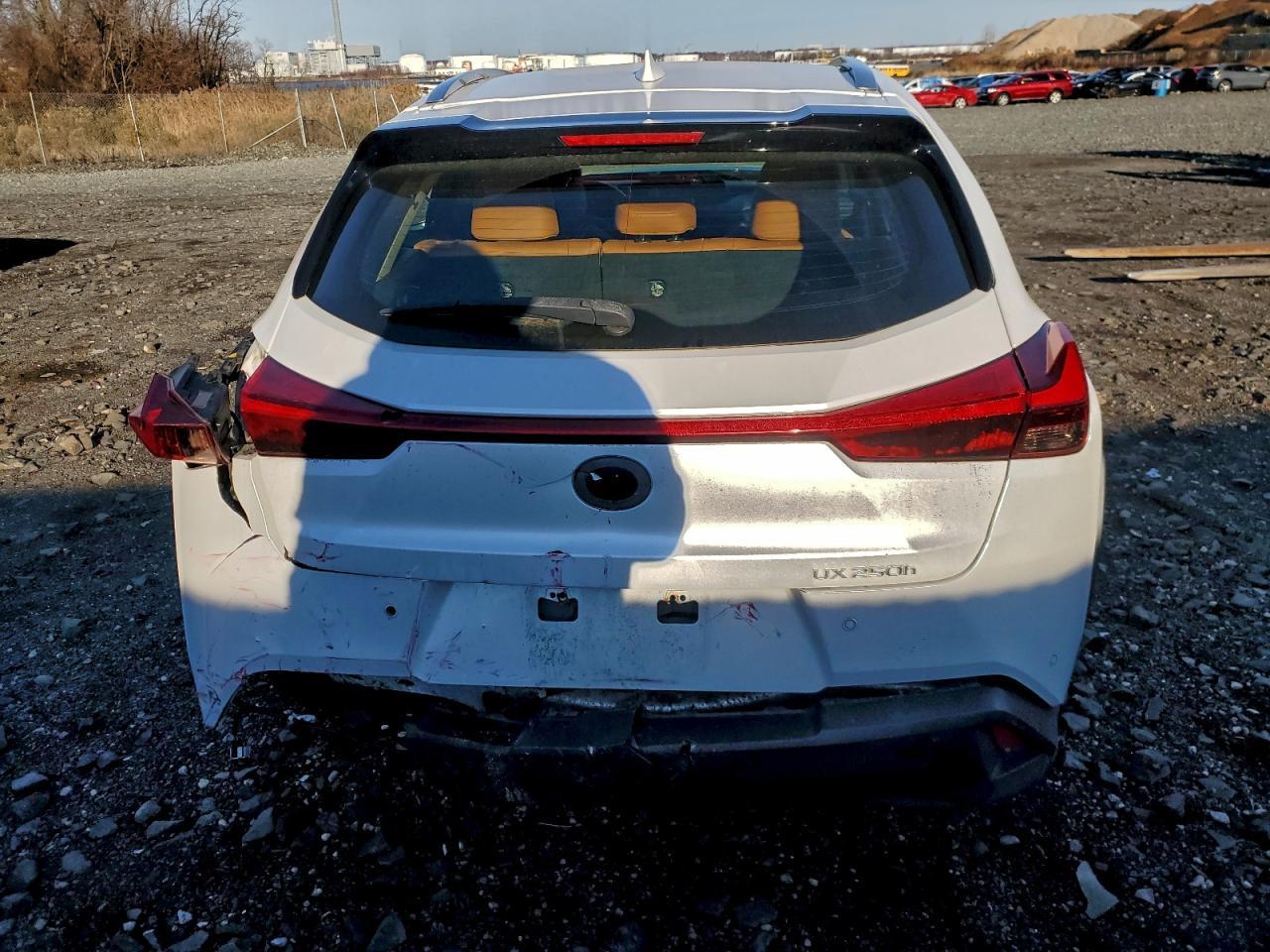 2020 Lexus Ux 250h