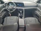 2024 Hyundai Elantra Blue