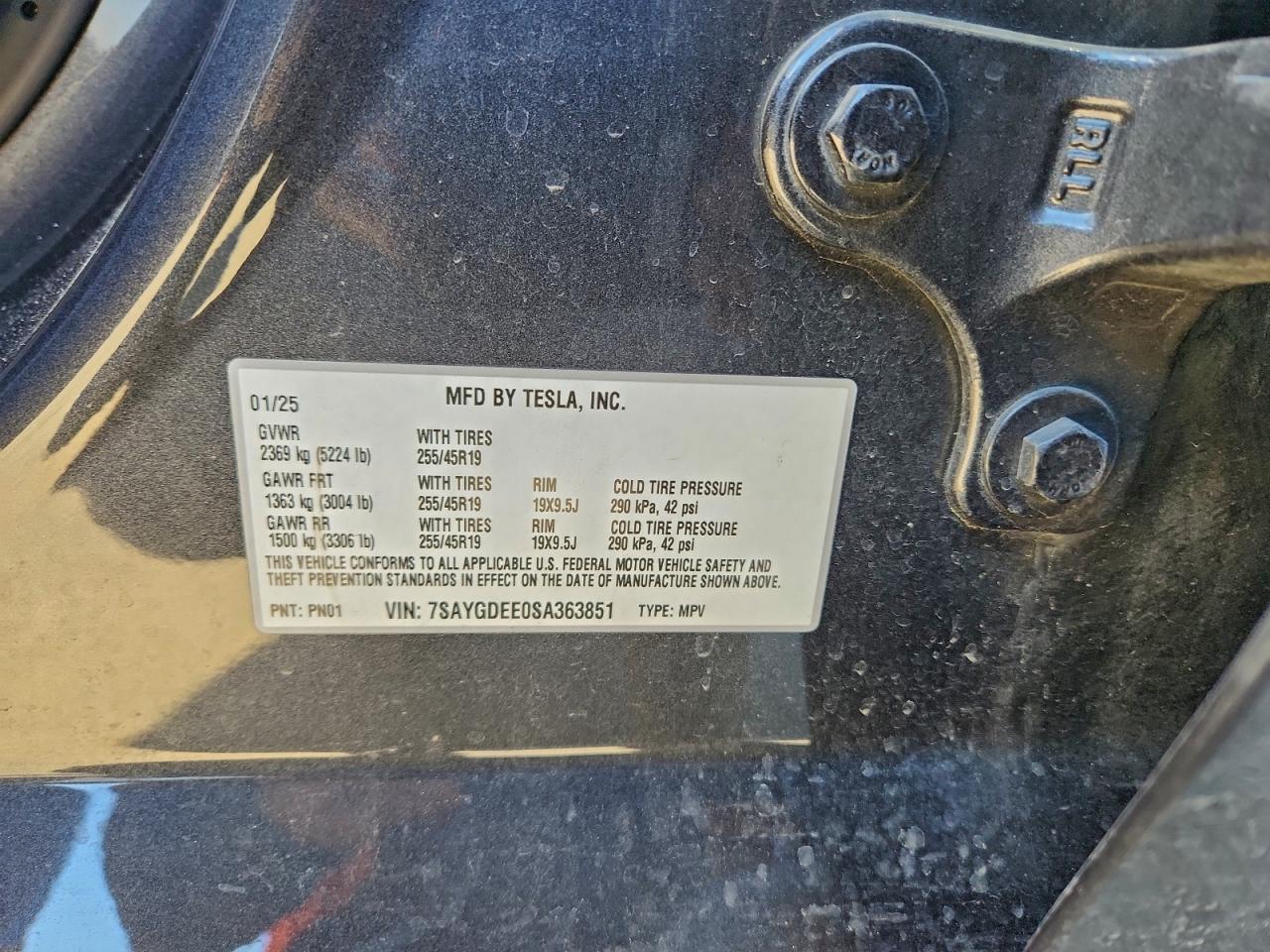 2025 Tesla Model y