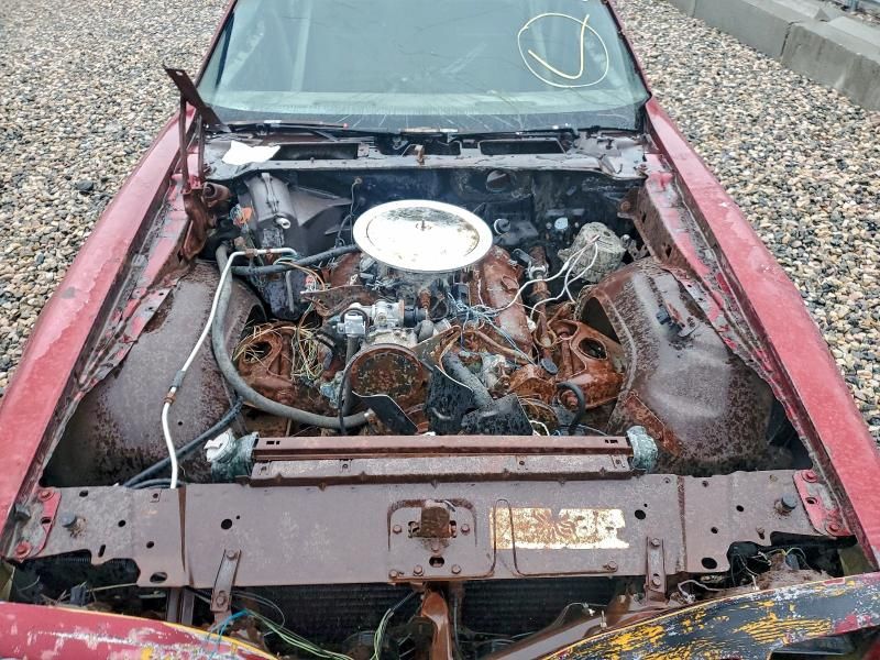 1981 Pontiac Firebird Trans am