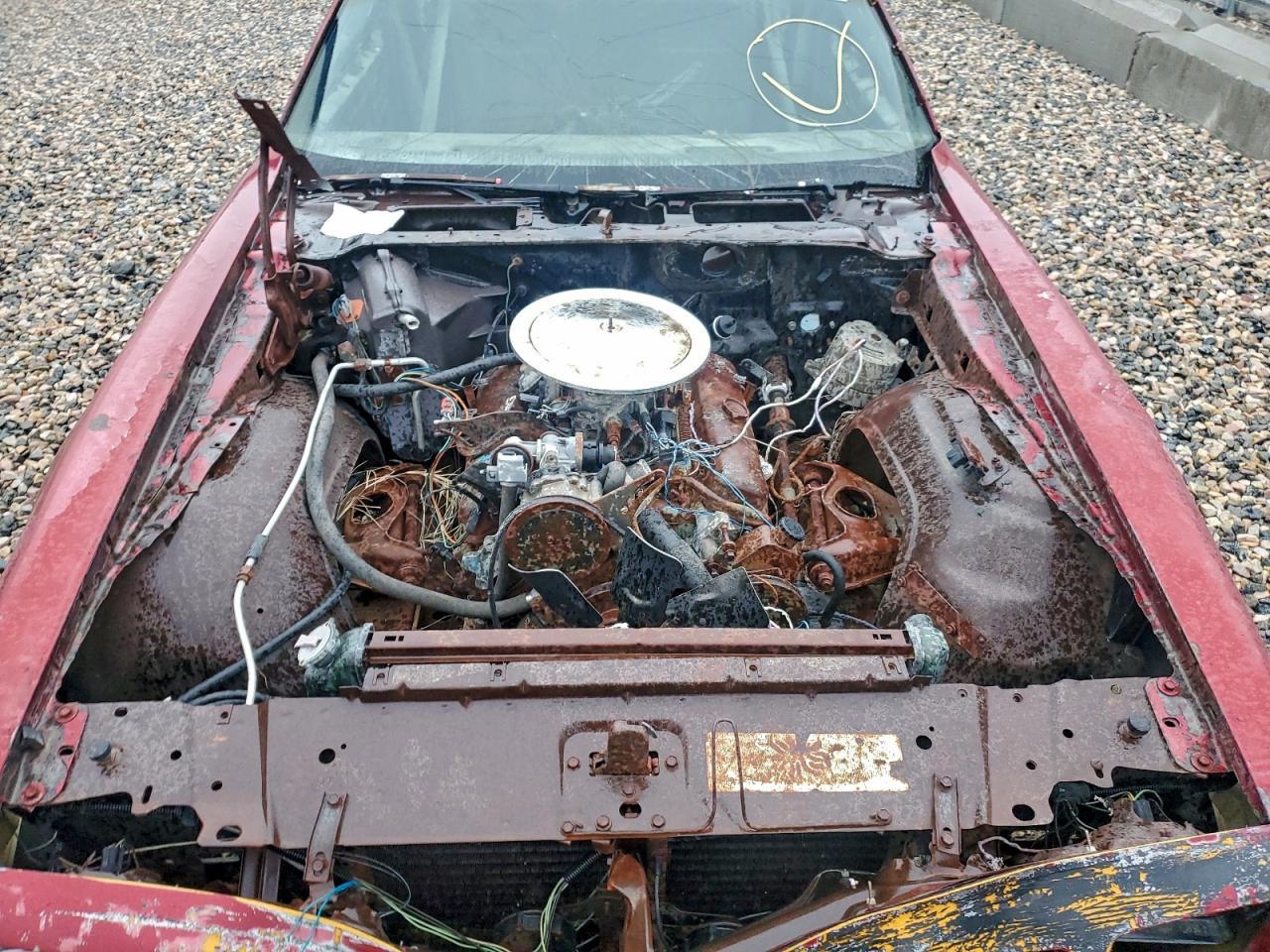 1981 Pontiac Firebird
