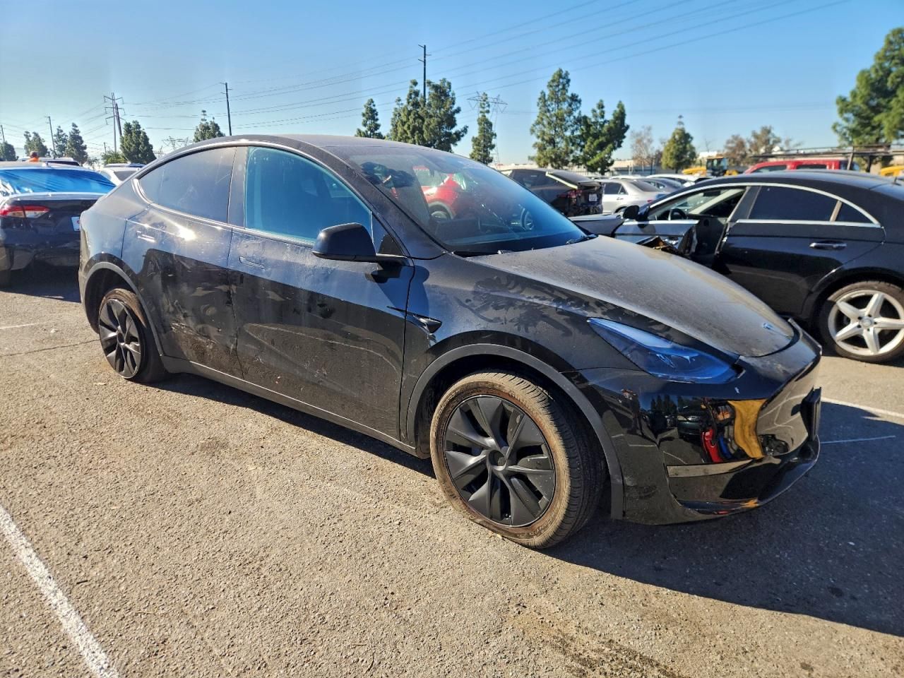 2025 Tesla Model y
