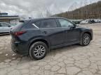 2025 Mazda Cx-5 Preferred