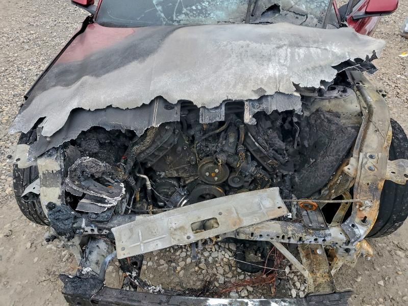 2019 Ford Mustang gt