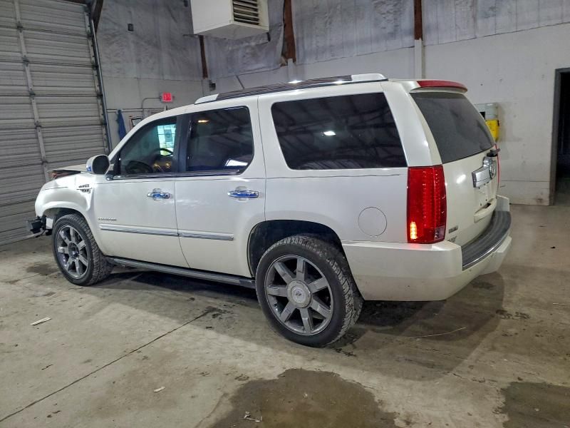 2010 Cadillac Escalade Premium