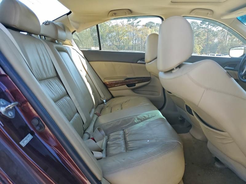 2010 Honda Accord exl