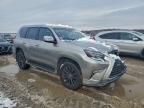 2020 Lexus Gx 460 Premium