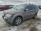2010 Ford Escape Limited