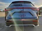 2024 Lexus Nx 450h Luxury