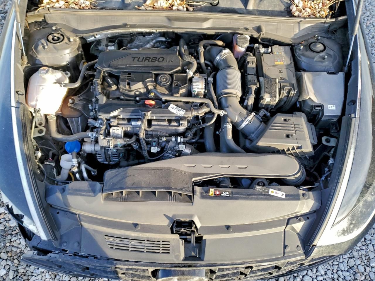 2023 Hyundai Sonata sel Plus