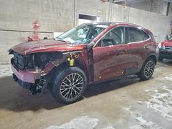 Ford Vehiculos salvage en venta: 2021 Ford Escape Titanium
