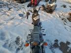 1993 Harley-Davidson Sportster
