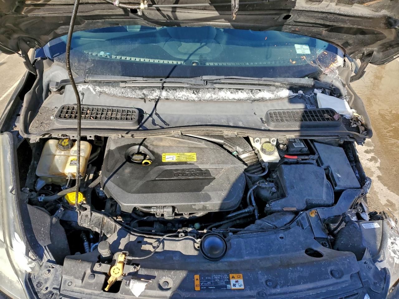 2013 Ford Escape sel