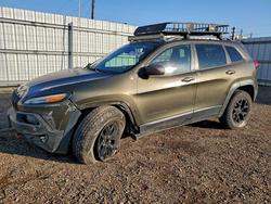 2014 Jeep Cherokee Trailhawk for sale in Mercedes, TX