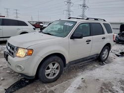 Vehiculos salvage en venta de Copart Elgin, IL: 2012 Ford Escape xlt