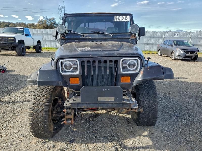 1991 Jeep Wrangler / yj Sahara