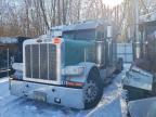 2013 Peterbilt 389 Semi Truck