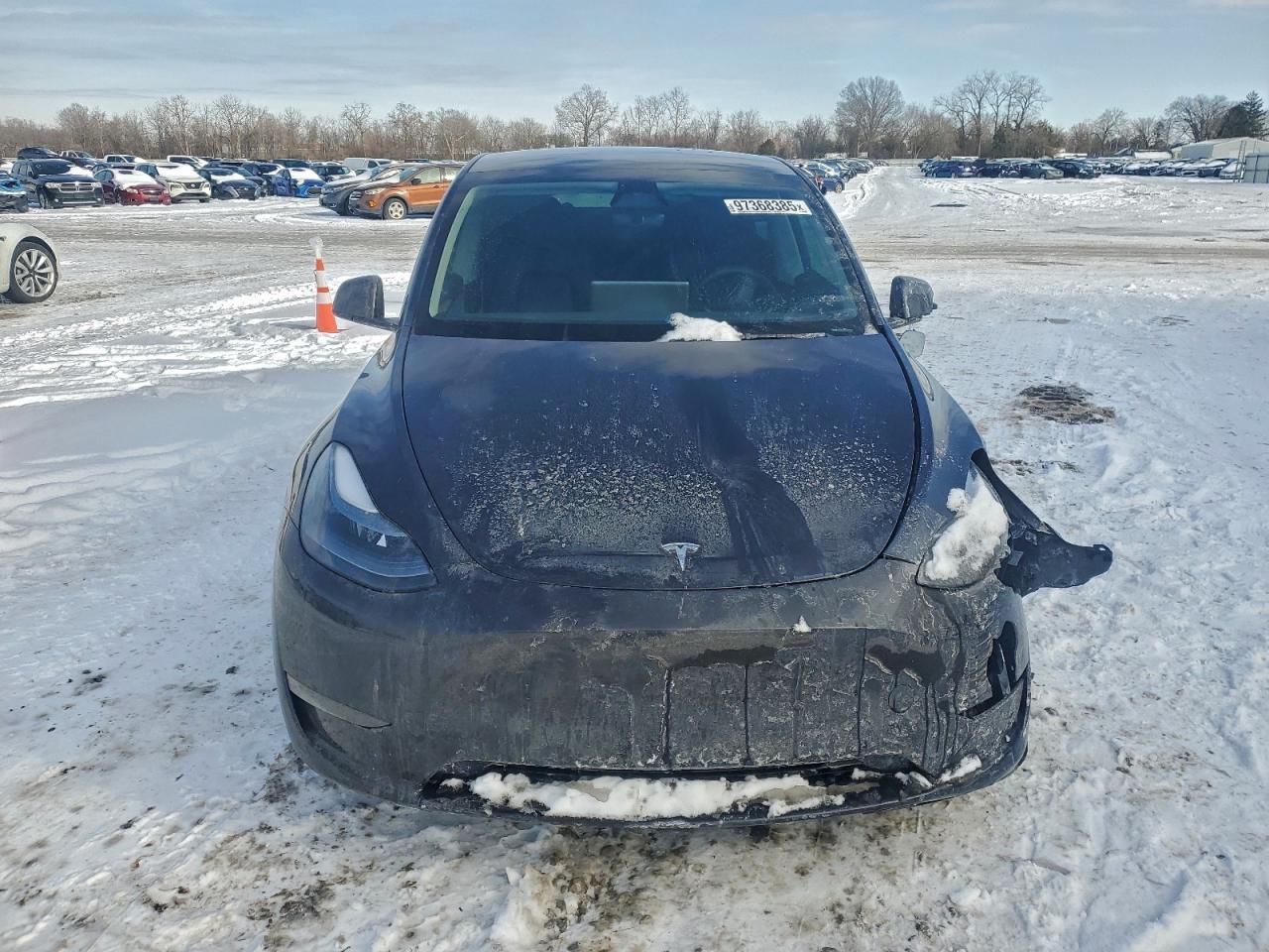 2024 Tesla Model y